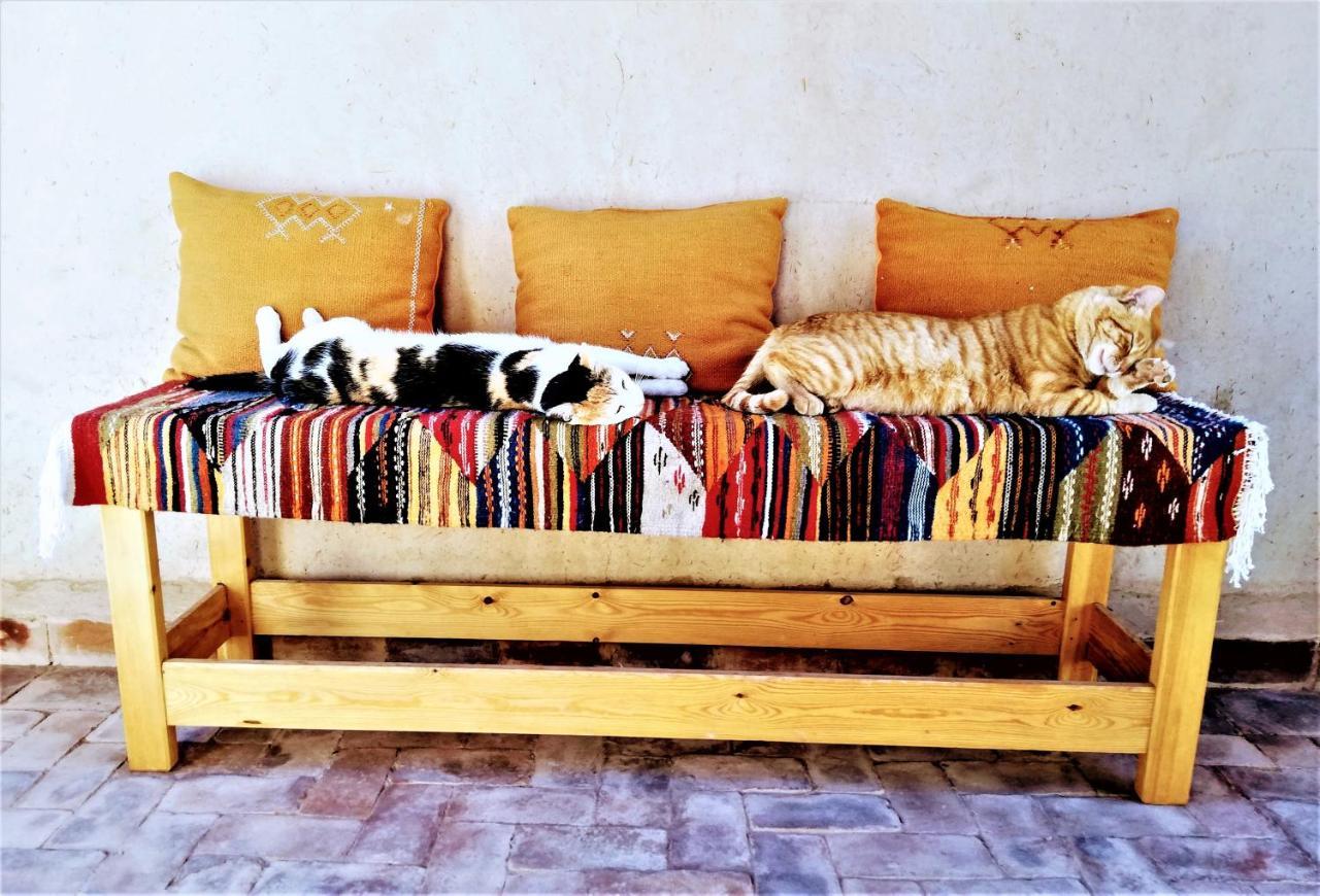 La Maison Anglaise Garden Ecolodge Taroudant Eksteriør bilde